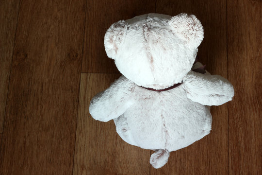 Toy bear sitting on the floor back