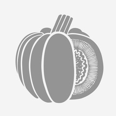 Pumpkin Isolated Drawing.