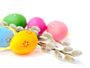 Colorful easter eggs and branches of willow on white background
