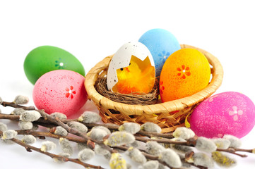 Colorful easter eggs and branches of willow on white background