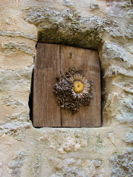 Chardon sur Petite porte
