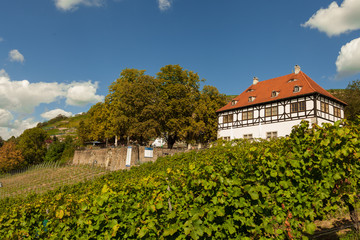 Fototapeta na wymiar Hoflößnitz in den Radebeuler Weinbergen