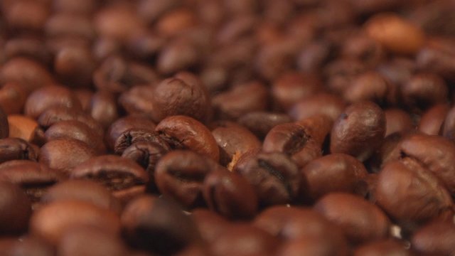 Coffee beans. Close-up. Focus in. Focus out.