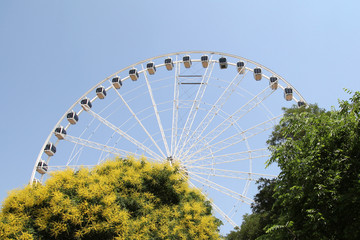 Ferris Wheel
