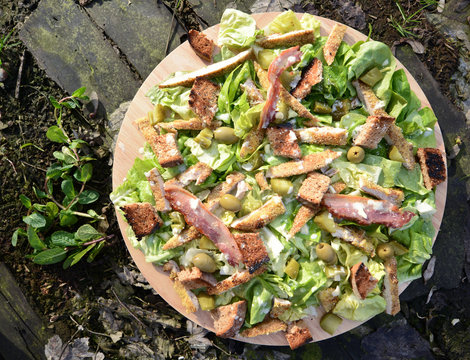 Fresh Ceaser salad in garden
