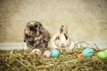 zwei kleine Osterhasen