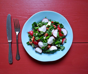 Fresh salad on red table