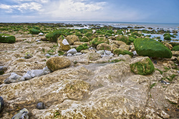 Strange rocks and moss in the morning at Seven Sisters