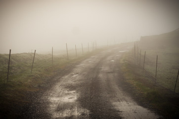 Country road with fog