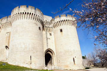 Villeneuve les avignon