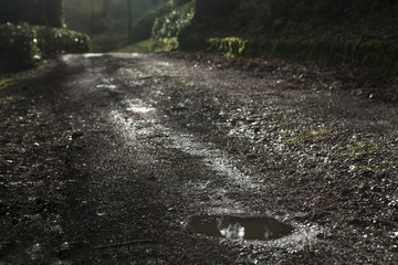 Beautiful Spring countryside landscape with puddle at  road afte