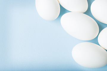 eggs on blue background