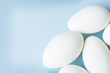 eggs on blue background