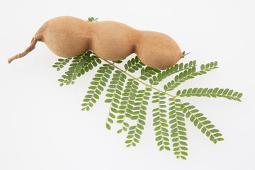 Tamarind and leaves on isolated white background