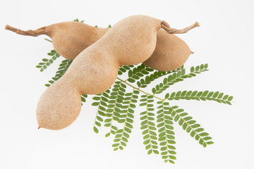 Tamarind and leaves on isolated white background