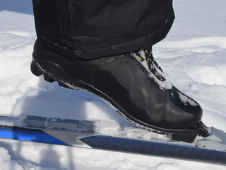 Беговые лыжи