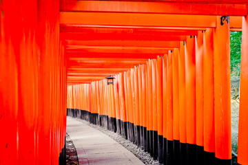 orii gates in Fushimi Inari Shrine, Kyoto, Japan