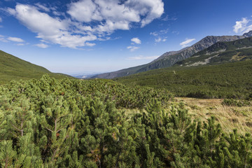 View of Tatra Mountains from hiking trail. Poland. Europe.