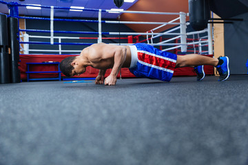 Boxer doing push ups