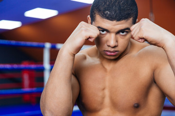 Plakat Handsome male boxer