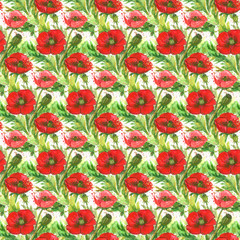 Obraz premium Red Poppies Watercolor Illustration