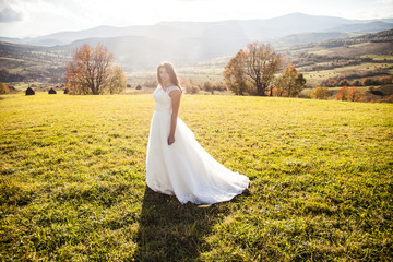 elegant stylish happy brunette bride on the background of a sunn