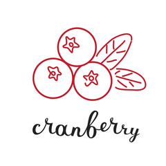Cranberry and hand writing lettering name 