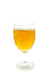 fresh bier in tulip on white background
