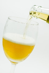 fresh bier in tulip on white background