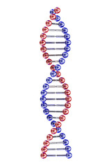 3d Dna isolated on white background.