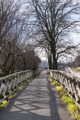 Canal Villoresi, lane for pedestrians and bicycles