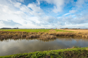 Colorful landscape of a Dutch polder in wintertime