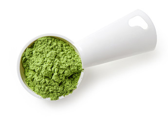 Measuring scoop of barley or wheat grass powder on white backgro