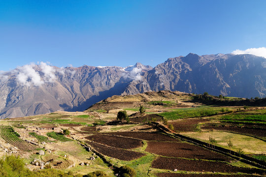 The most interesting places of South America, Colca canyon in Peru