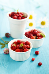 Wild strawberry