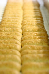 Bread bakery