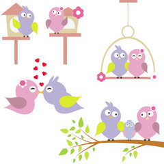  a love story of two birds vector