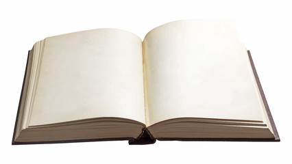 blank open book