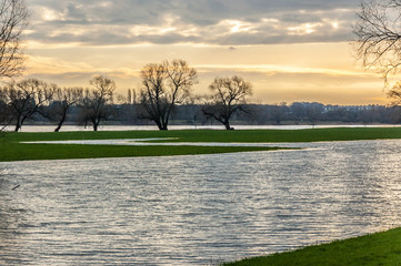 Fototapeta premium Rheinfeld - Hochwasser
