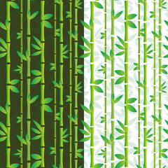 Bamboo forest background vector