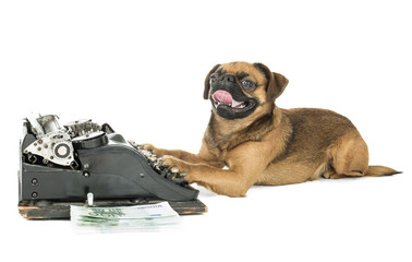 dog typewriter