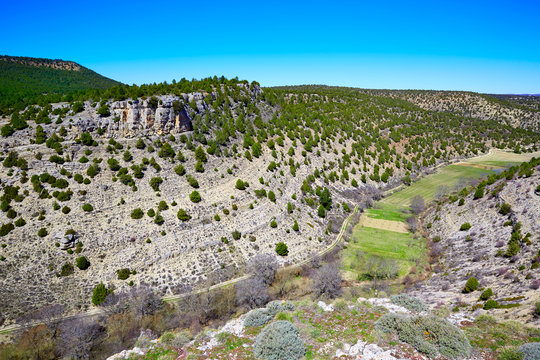 Moscardon La Canada Sierra Albarracin In Teruel