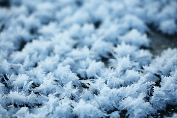 texture of frost crystals background