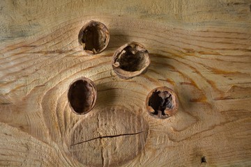 Walnuts with shell