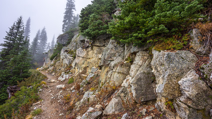 Rocky trail in the spruce forest, HEATHER-MAPLE PASS LOOP TRAIL, Washington state