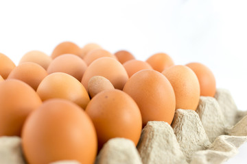 Eggs in  tray  on white background