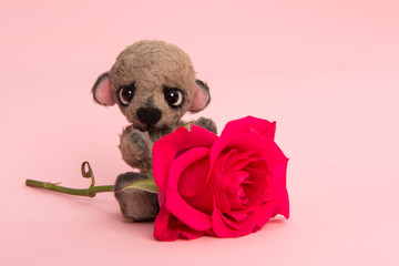 Cute teddy bear with a rose on a pink background
