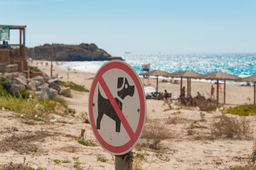 Dogs can not be on the beach