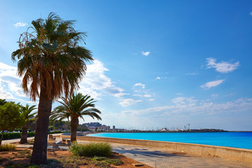 Fototapeta na wymiar Denia palm trees in Marineta Casiana beach