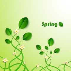 Spring card with green leaves and flowers